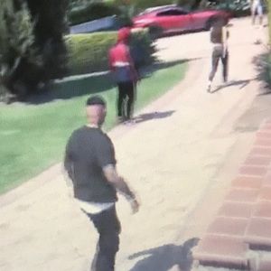 Meet your Posher, Zander